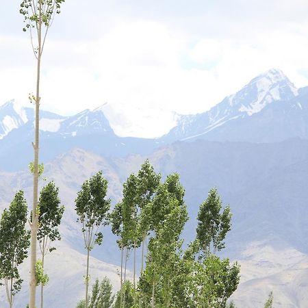 Hotel Kasdar Ladakh 列城 外观 照片