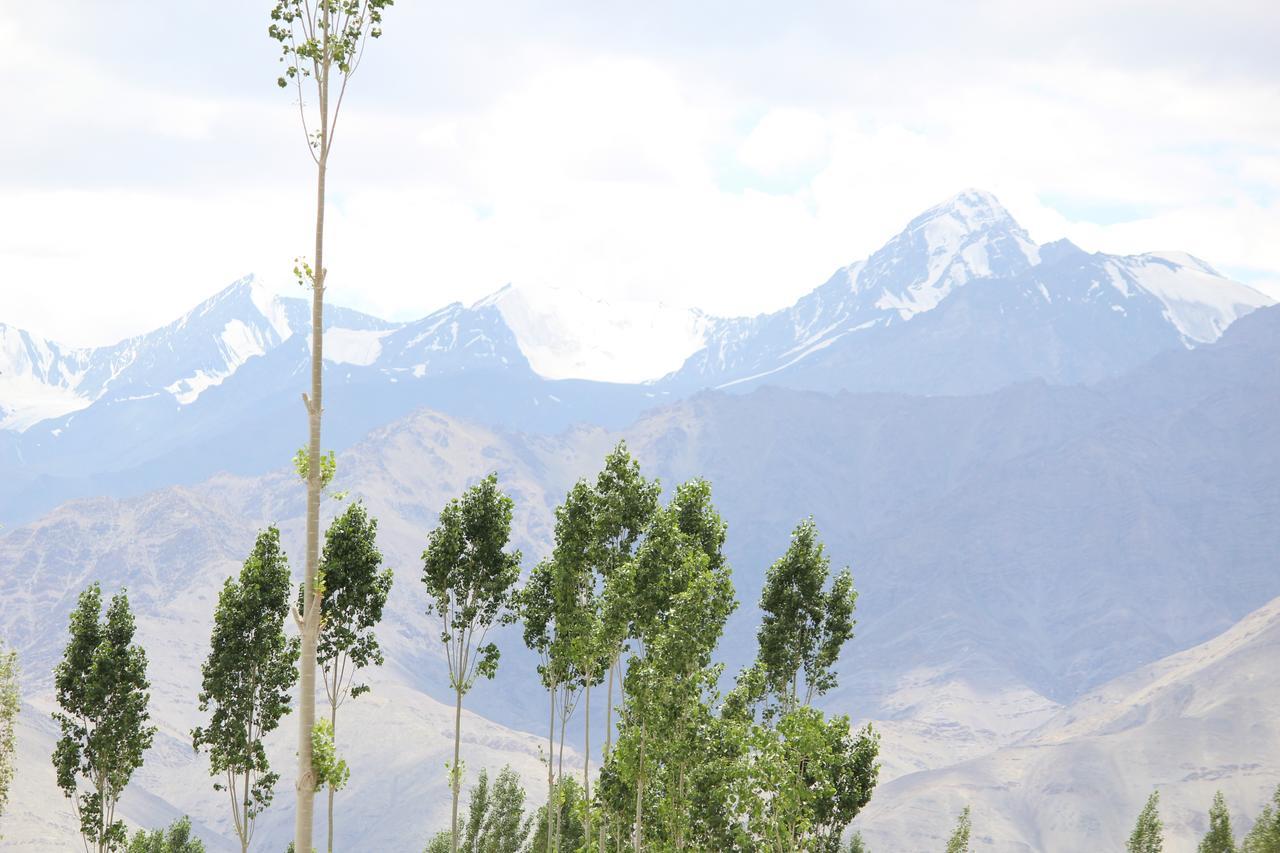 Hotel Kasdar Ladakh 列城 外观 照片